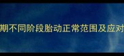 胎动减少怎么办孕期不同阶段胎动正常范围及应对措施附医生建议