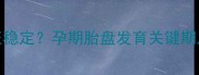 孕12周后胎盘才算真正稳定孕期胎盘发育关键期及稳定后的注意事项全