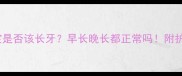 五个月宝宝是否该长牙早长晚长都正常吗附护理全攻略