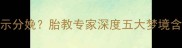 孕妇梦见生孩子预示分娩胎教专家深度五大梦境含义及科学应对方法