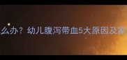 儿童便血怎么办幼儿腹泻带血5大原因及家庭护理指南