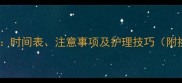 孩子大牙换新牙全攻略时间表注意事项及护理技巧附换牙期常见问题解答