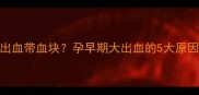 怀孕三个月出血带血块孕早期大出血的5大原因及保胎指南