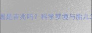 孕妇梦见汤圆是吉兆吗科学梦境与胎儿发育的关联