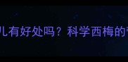 权威解答孕妇吃西梅对胎儿有好处吗科学西梅的营养价值与孕期食用指南