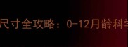 新生儿奶嘴尺寸全攻略0-12月龄科学选择指南