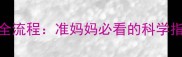 3个月胎儿发育全流程准妈妈必看的科学指南与注意事项
