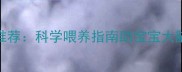 10种最佳儿童鱼类推荐科学喂养指南助宝宝大脑发育与免疫力提升