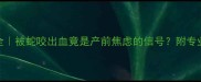 孕期梦境全被蛇咬出血竟是产前焦虑的信号附专业应对指南