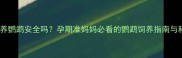 孕期养鹦鹉安全吗孕期准妈妈必看的鹦鹉饲养指南与科学