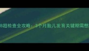 孕早期B超检查全攻略3个月胎儿发育关键期需憋尿吗