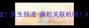 宝宝便秘引发鼻血医生肠道-鼻腔关联机制3步解决恶性循环
