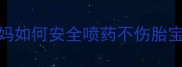 孕期养花必看准妈妈如何安全喷药不伤胎宝宝附6大避坑指南