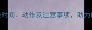 孕期瑜伽指南最佳时间动作及注意事项助力胎儿发育与孕妈健康