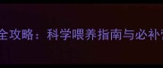 十个月宝宝营养补充全攻略科学喂养指南与必补营养清单附食谱