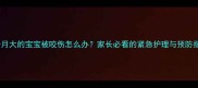 三个月大的宝宝被咬伤怎么办家长必看的紧急护理与预防指南
