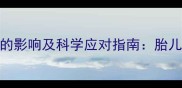孕5个月感冒对胎儿的影响及科学应对指南胎儿发育关键期护理全