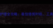 0-3岁宝宝脚指甲护理全攻略最佳修剪时机工具选择与注意事项