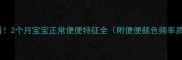 新手妈妈必看2个月宝宝正常便便特征全附便便颜色频率质地对照表