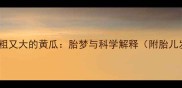 孕妇梦见又粗又大的黄瓜胎梦与科学解释附胎儿发育指南