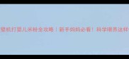 破壁机打婴儿米粉全攻略新手妈妈必看科学喂养这样做
