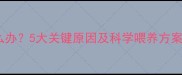 婴儿瘦不长肉怎么办5大关键原因及科学喂养方案附营养食谱