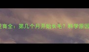 胎儿期头发发育全第几个月开始长毛科学原因与护理指南