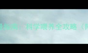 六个月宝宝每日喝水量指南科学喂养全攻略附不同场景应对方案