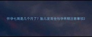 怀孕七周是几个月了胎儿发育全与孕早期注意事项