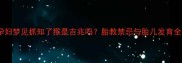 孕妇梦见抓知了猴是吉兆吗胎教禁忌与胎儿发育全