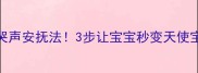 权威哈佛教授亲授哭声安抚法3步让宝宝秒变天使宝宝科学育儿必看