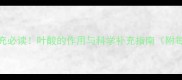 孕期营养补充必读叶酸的作用与科学补充指南附每日摄入量