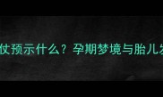 孕妇梦见打仗预示什么孕期梦境与胎儿发育的关联