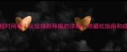 试管婴儿全流程时间表从促排到移植的详细附避坑指南和成功率提升技巧