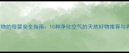 宝宝卧室植物的母婴安全指南10种净化空气的天然好物推荐与养护全攻略