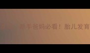四个月B超发现女儿新手爸妈必看胎儿发育全与产检指南