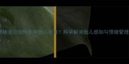 孕期情绪波动如何影响胎儿发育科学解读胎儿感知与情绪管理指南