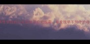 孕妇缺铁性贫血的10大症状及应对指南早发现早干预守护母婴健康