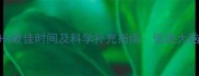 0-3岁宝宝补DHA最佳时间及科学补充指南促进大脑发育的黄金期