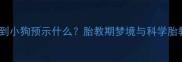 孕妇梦到小狗预示什么胎教期梦境与科学胎教指南