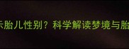 孕妇四维彩超梦到男孩预示胎儿性别科学解读梦境与胎儿性别关联性及产检指南