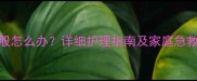 九个月宝宝红屁股怎么办详细护理指南及家庭急救方法附图解