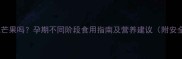 孕妇可以吃芒果吗孕期不同阶段食用指南及营养建议附安全摄入量