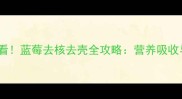 婴儿辅食添加期必看蓝莓去核去壳全攻略营养吸收与过敏风险的科学