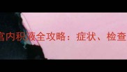 新手妈妈必看孕妇宫内积液全攻略症状检查注意事项一次说清