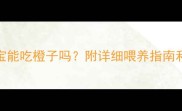 八个月宝宝能吃橙子吗附详细喂养指南和注意事项