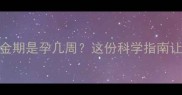 孕期DHA补充黄金期是孕几周这份科学指南让宝宝更聪明