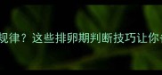 月经周期不规律这些排卵期判断技巧让你备孕不踩坑