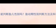 孕期3个月能判断胎儿性别吗胎动期性别判断方法及科学依据全