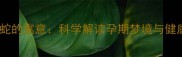 孕妇梦到黑色眼镜蛇的寓意科学解读孕期梦境与健康胎儿发育的关联